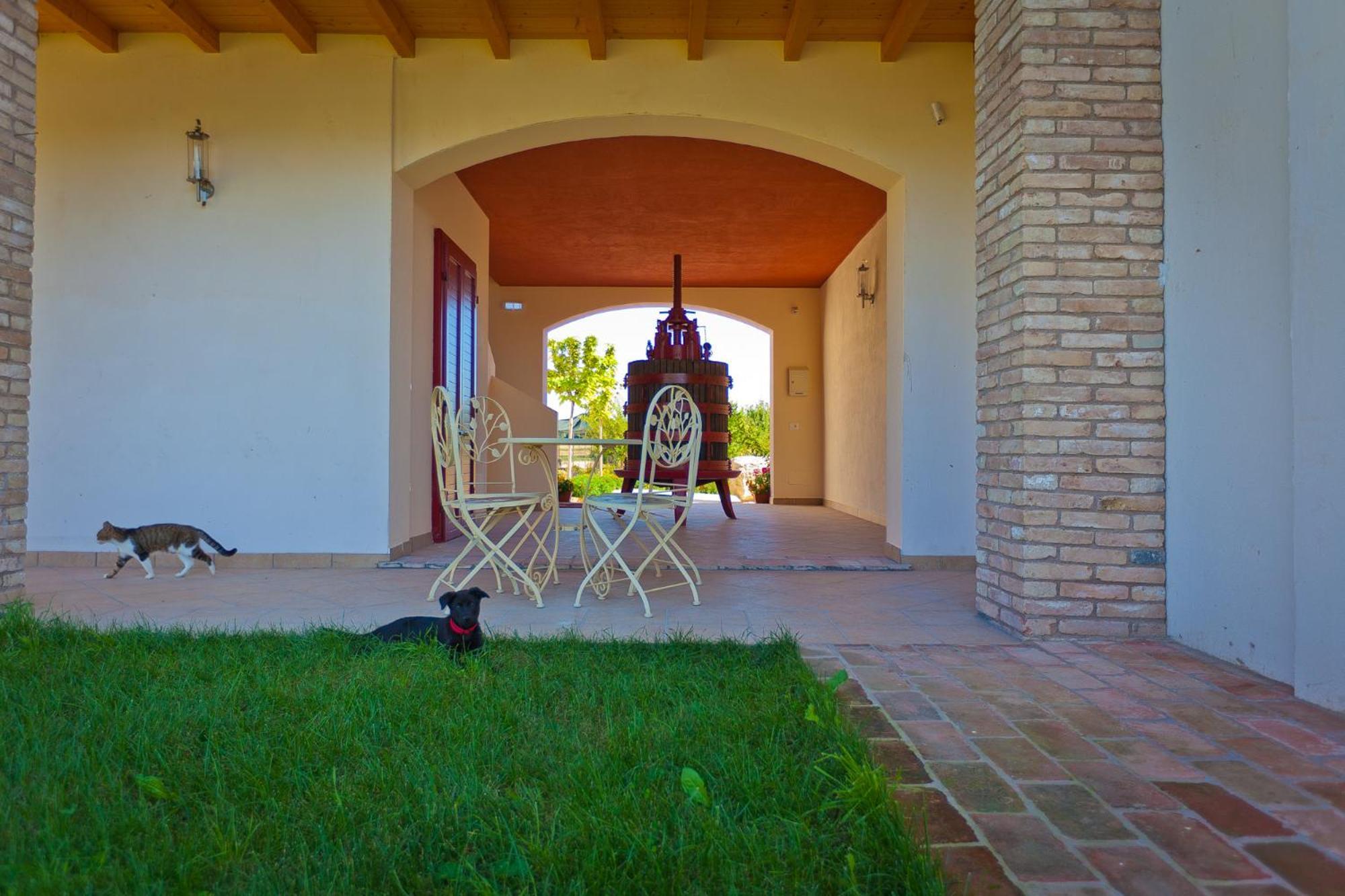 Agriturismo Con Cucina Tipica Nuova Scardua Cavriana Exterior foto