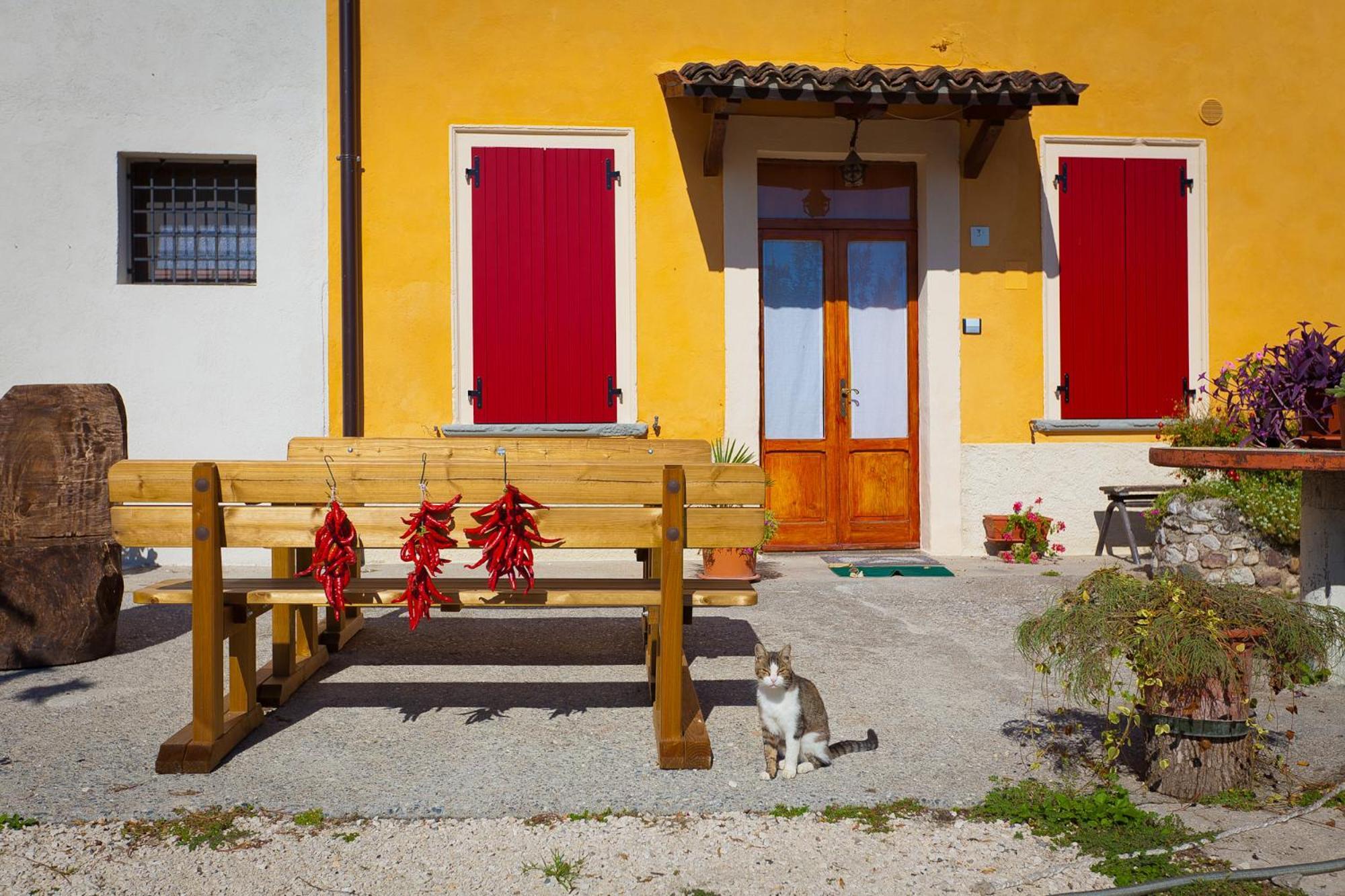 Agriturismo Con Cucina Tipica Nuova Scardua Cavriana Exterior foto
