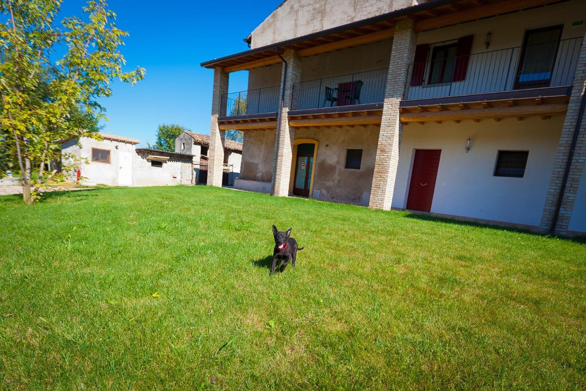 Agriturismo Con Cucina Tipica Nuova Scardua Cavriana Exterior foto