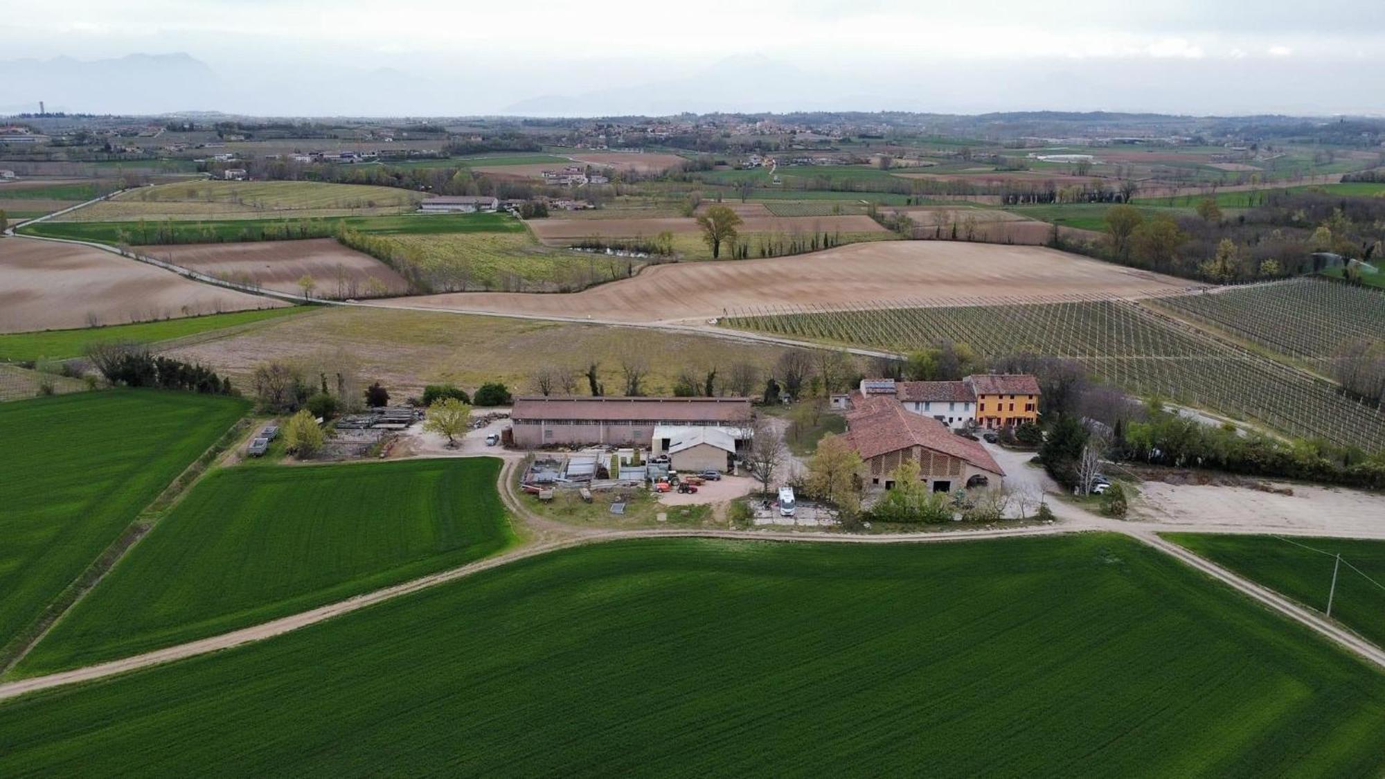 Agriturismo Con Cucina Tipica Nuova Scardua Cavriana Exterior foto